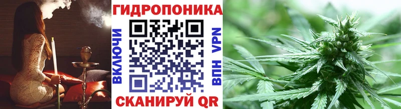hydra   Вихоревка  Шишки марихуана семена 